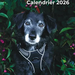 Notre calendrier