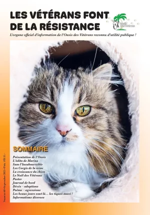 Notre magazine