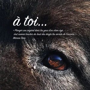Livre photo "A toi"