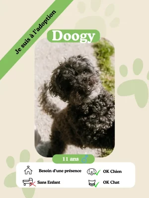 Doogy