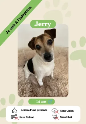 Jerry