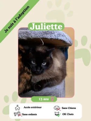 Juliette