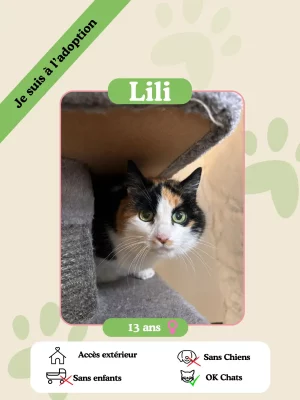 Lili