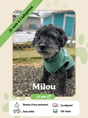 Milou