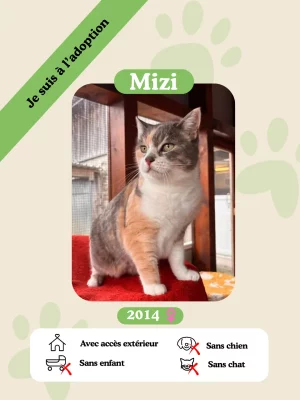 Mizi