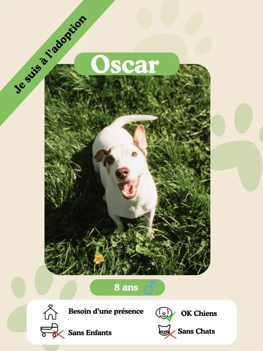 Oscar