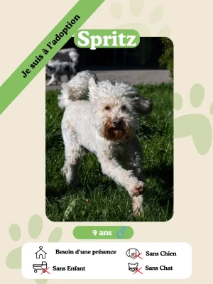 Spritz