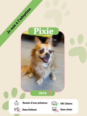 Pixie