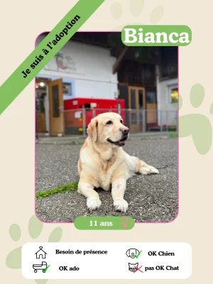 Bianca