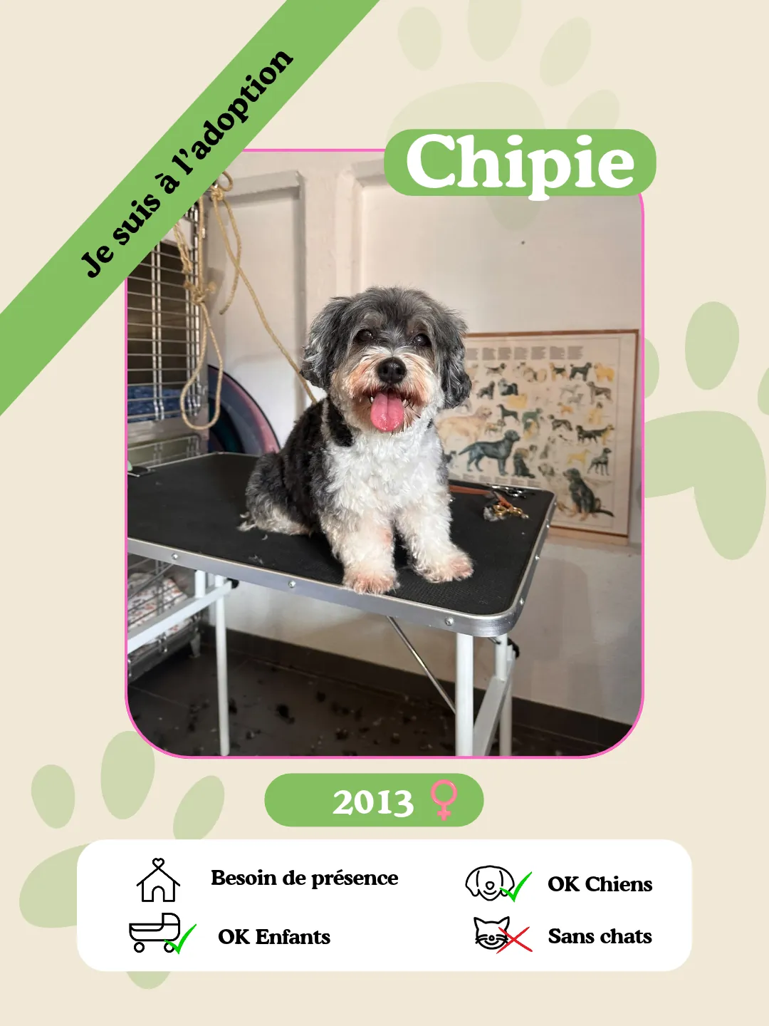 Chipie