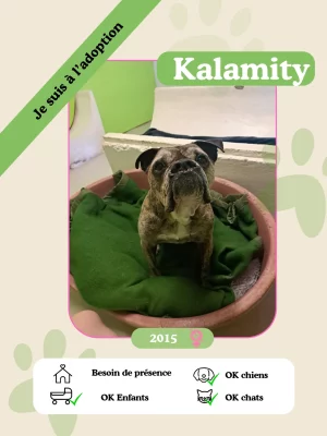 Kalamity