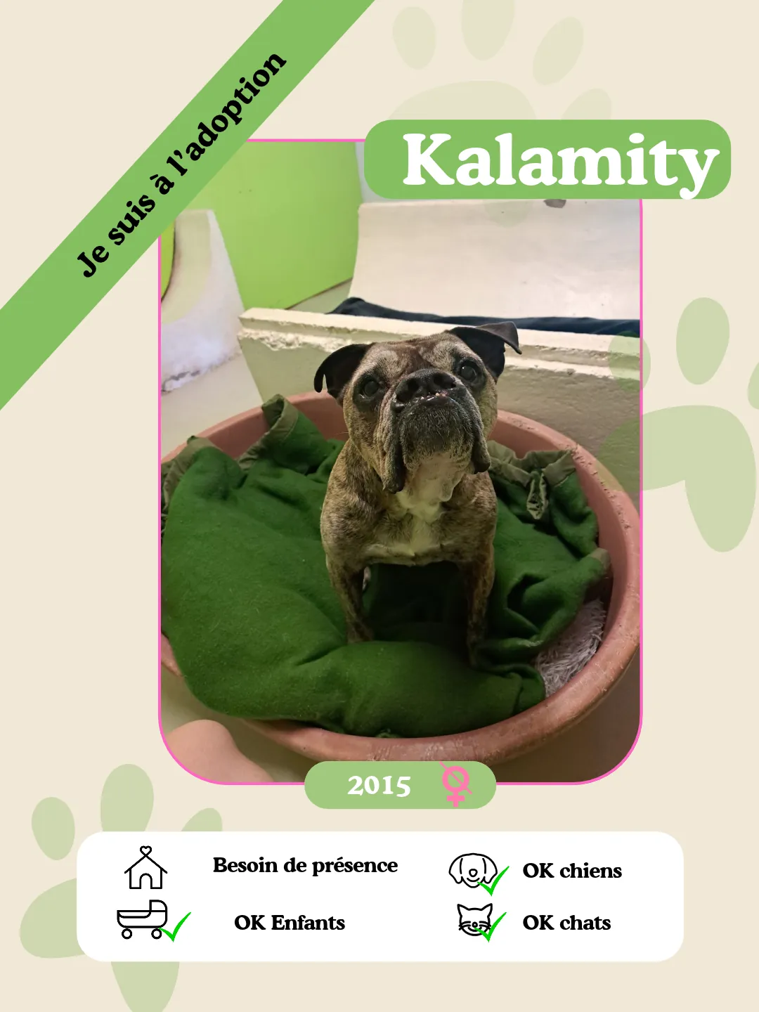 Kalamity