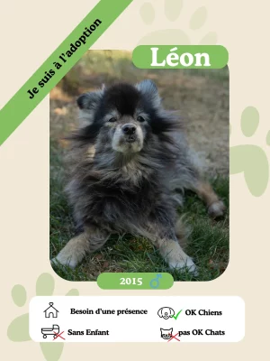 Léon