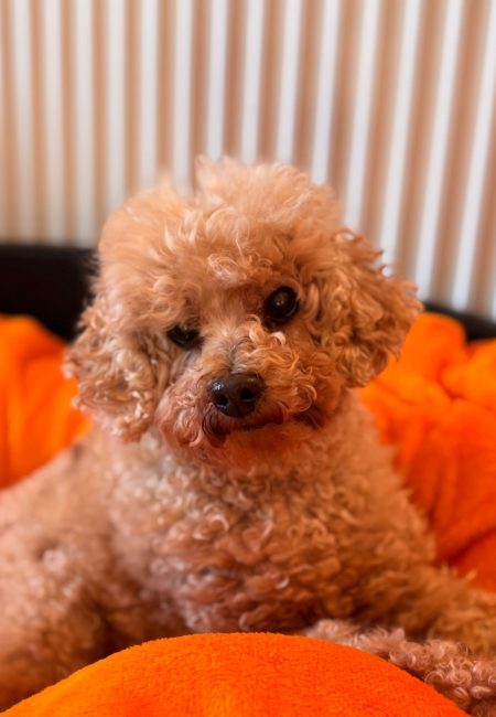 5e239e12-48d3-4d15-aa89-12d037260c7d