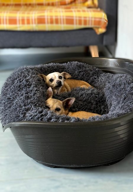 PHOTO-2025-10-12-14-40-16