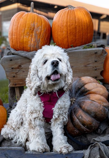 PHOTO-2025-11-12-16-39-13 (2)