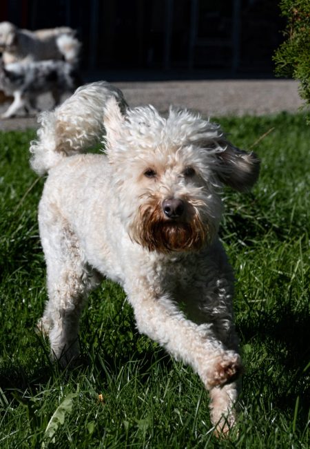 PHOTO-2025-11-12-16-39-13