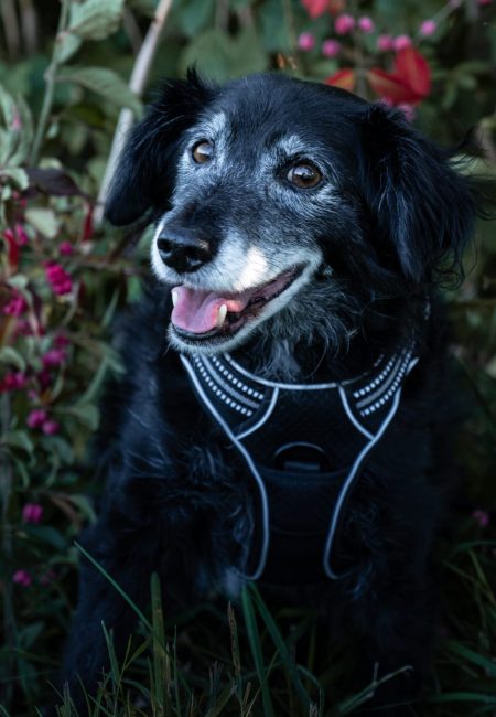 PHOTO-2025-11-12-16-39-14