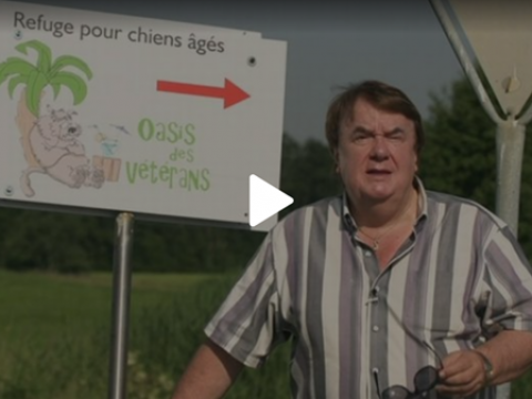 Image video de la rts coup de coeur avec Alain Morisod en 2015 Oasis des Vétérans